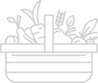 decorative graphic of vegetables in basket